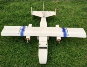 ft guinea pig rc plane