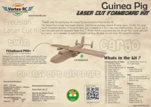 ft guinea pig rc plane
